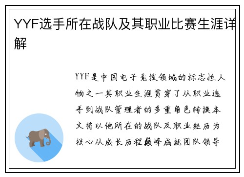 YYF选手所在战队及其职业比赛生涯详解